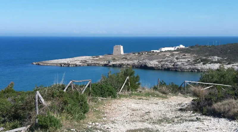 Le 5 Spiagge più belle di Peschici: Immagini