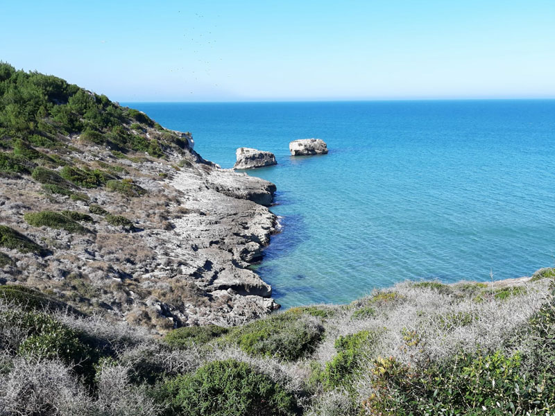 Le tue vacanze a Peschici