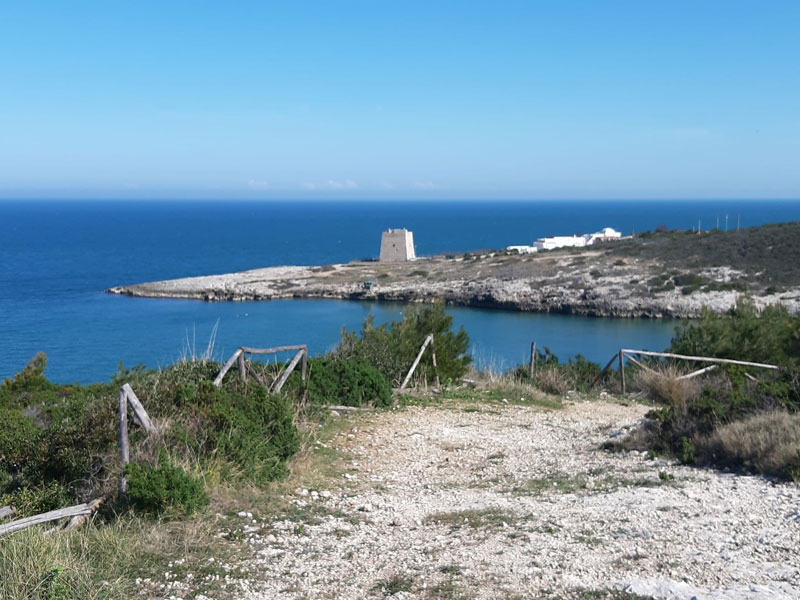 Le tue vacanze a Peschici: le spiagge